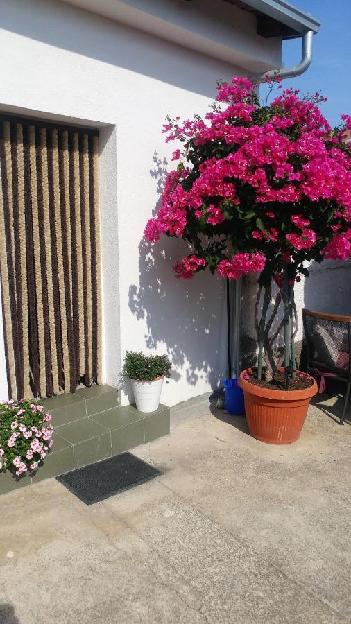 Apartments Pipi Pakoštane Екстериор снимка